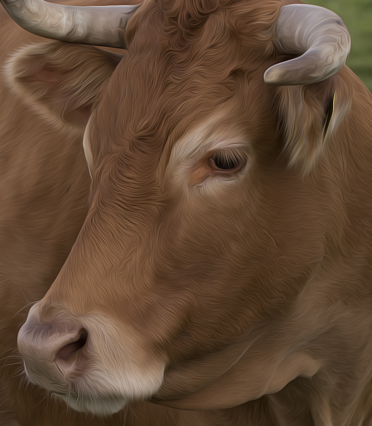 Schleswig Holstein Ostsee 09_2015 KA7_6687 als Smartobjekt-1 kopieren.jpg